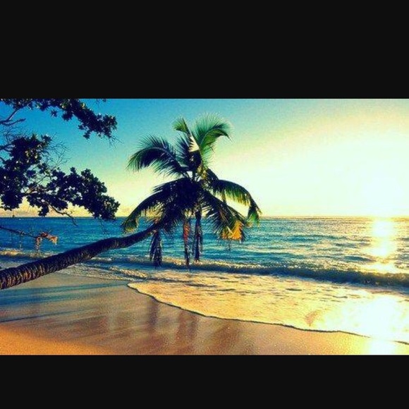 Meet your Posher, Rosie - Picture 1 of 1